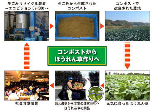 コンポストからほうれん草作りへ